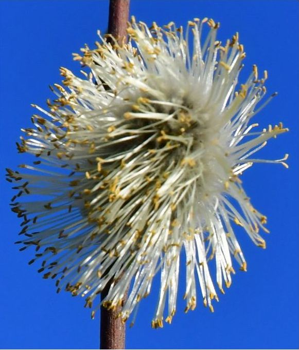 Wohn(t)raum für die Zukunft