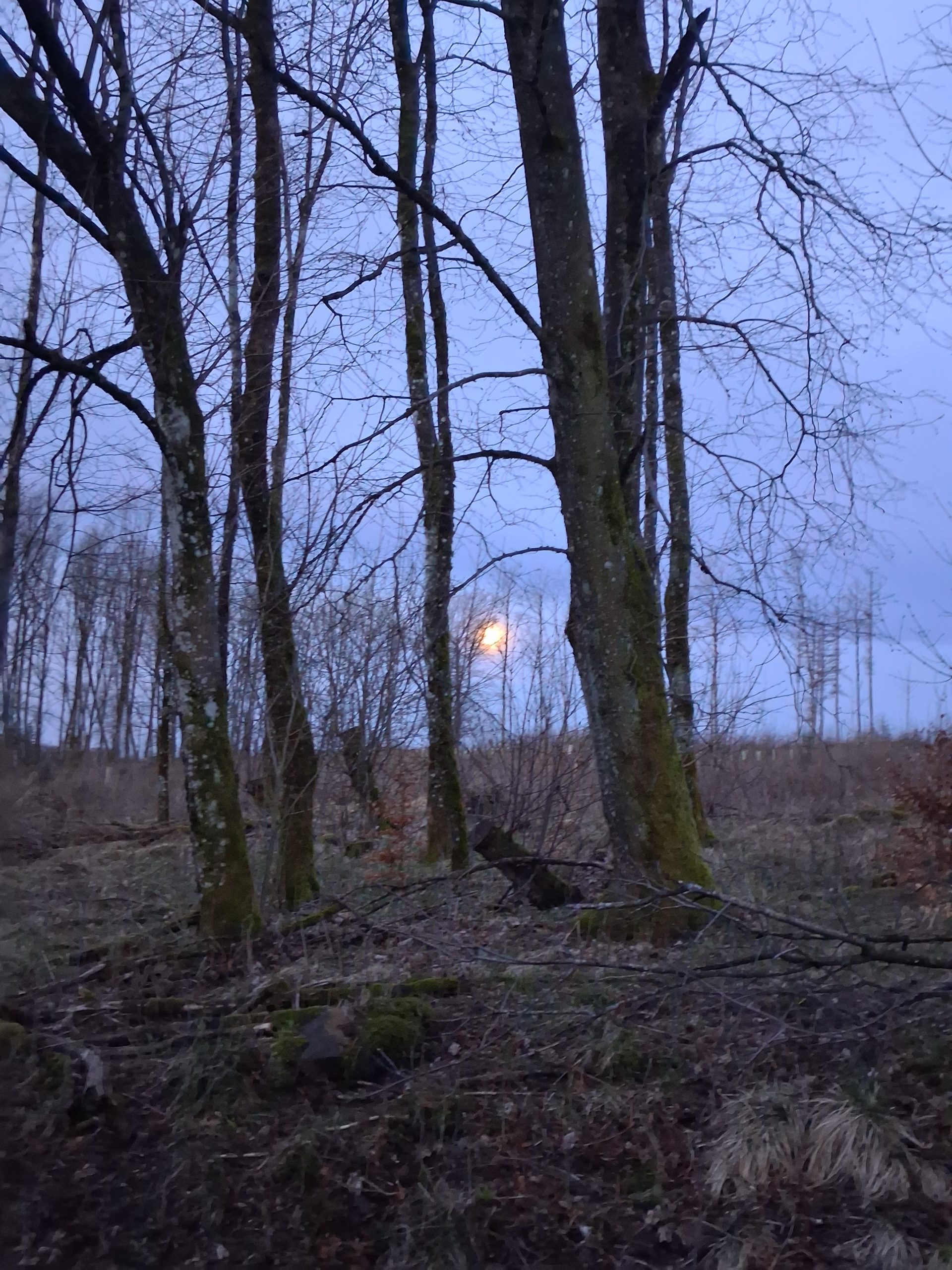 2026 04 05 Osterwanderung (101)