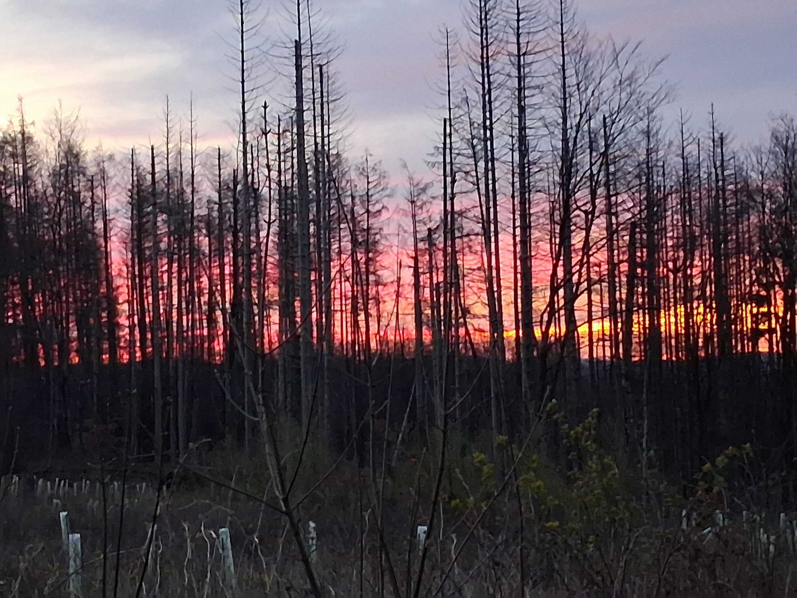 2026 04 05 Osterwanderung (102)