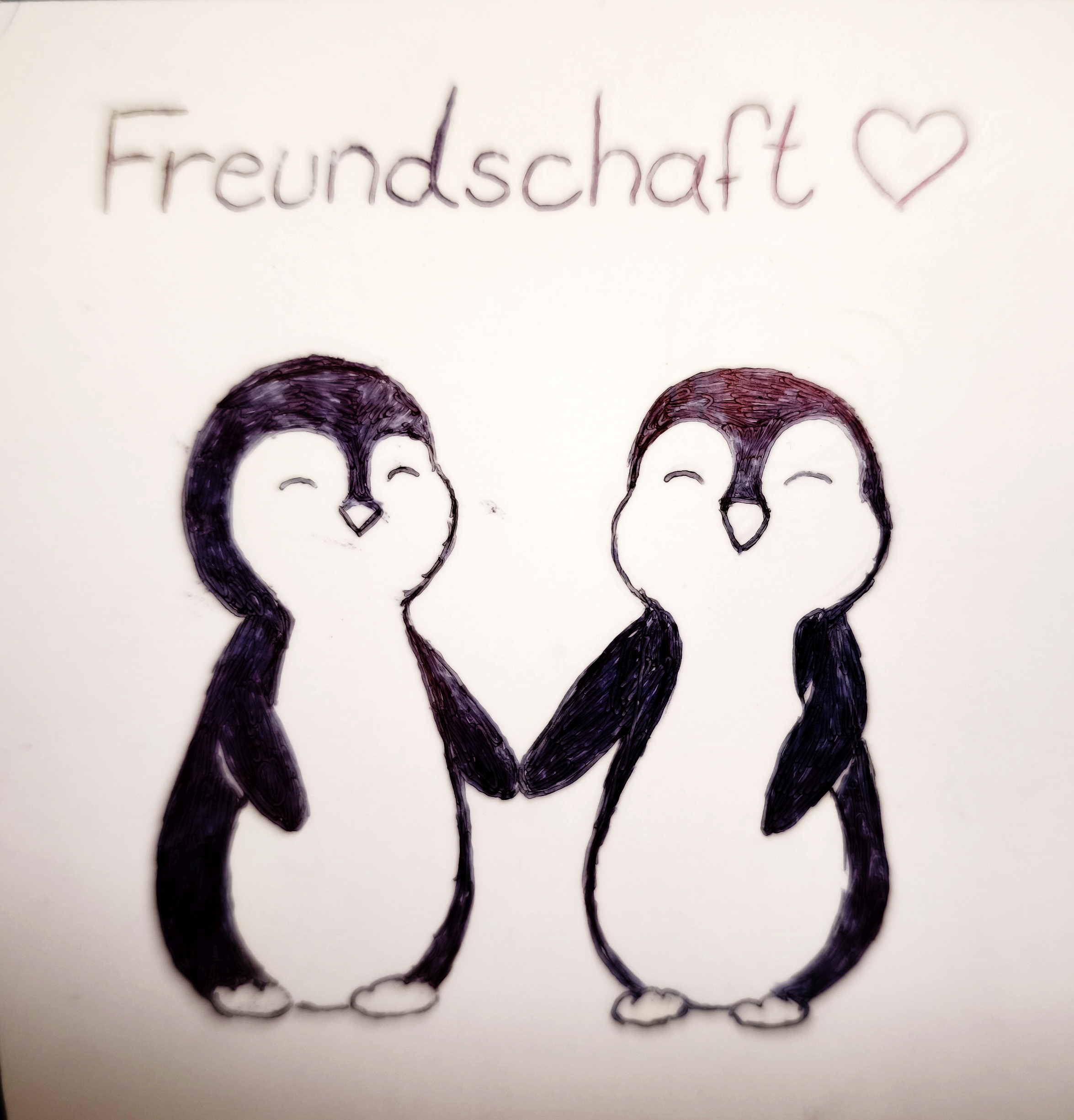 Fotos Gruppe 1 final (311)